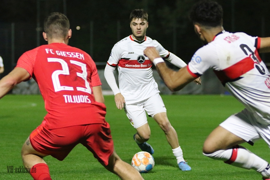 vfb13042227