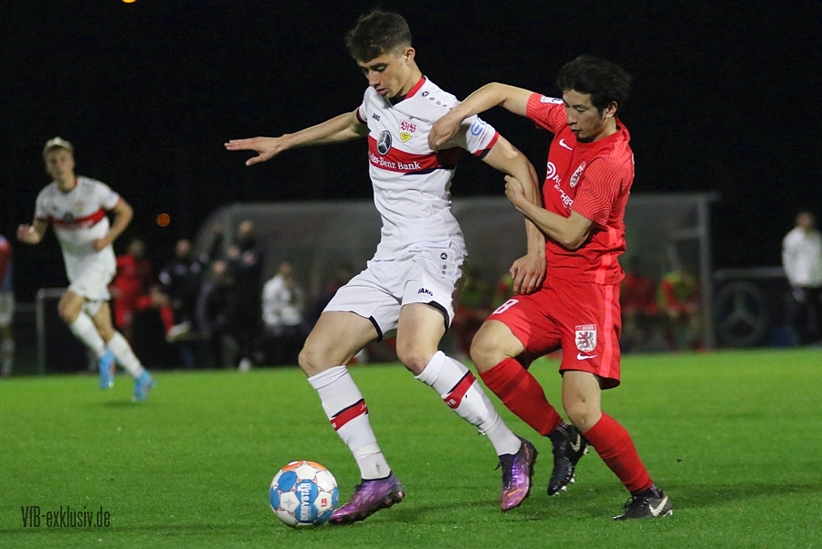 vfb13042229