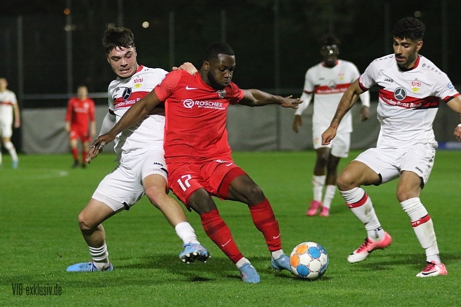 vfb13042230