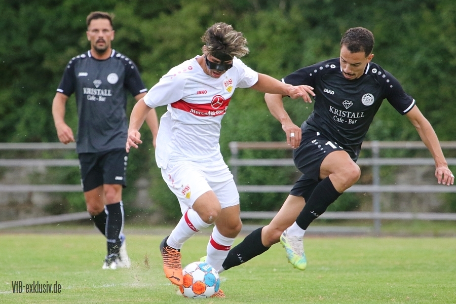vfb13072208