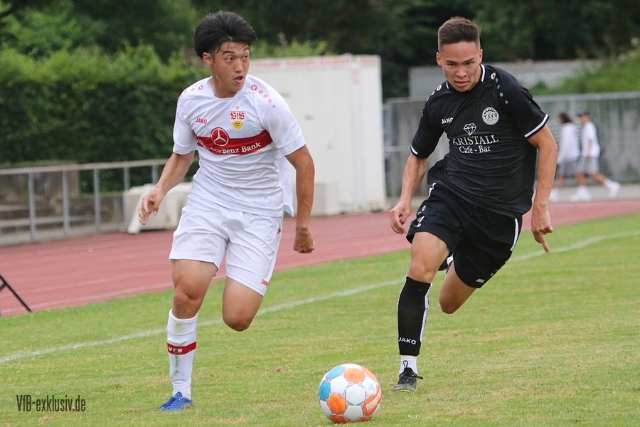 vfb13072211