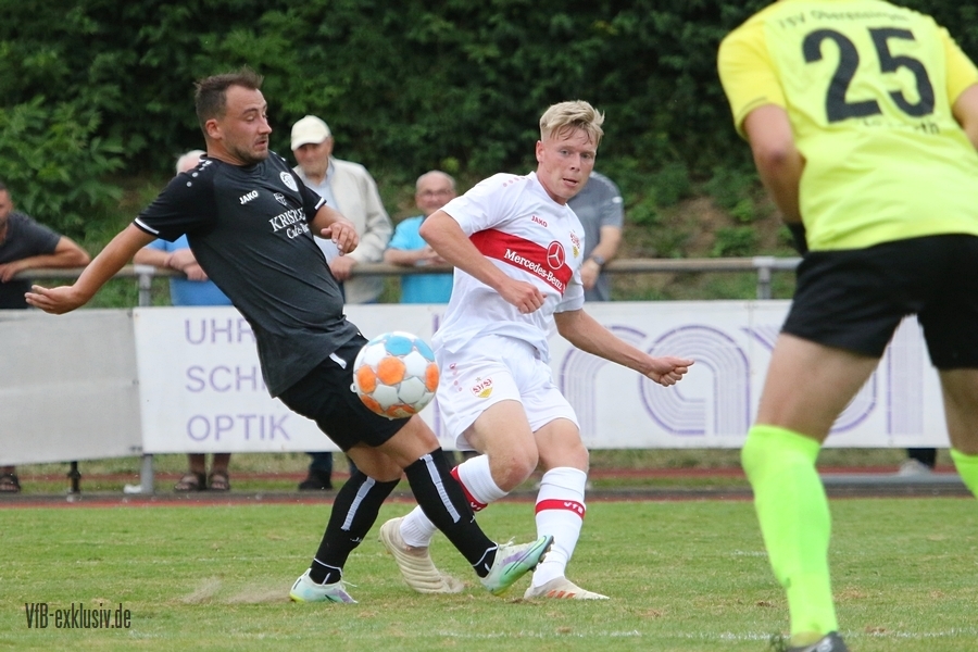 vfb13072212
