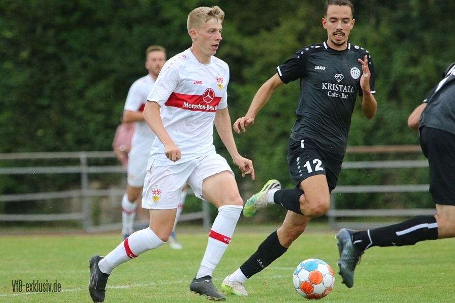vfb13072213