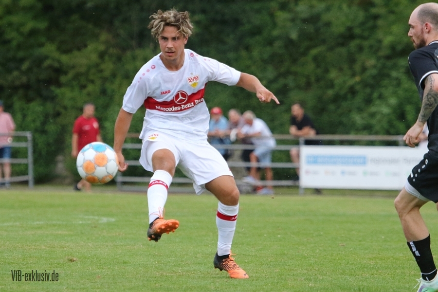 vfb13072217