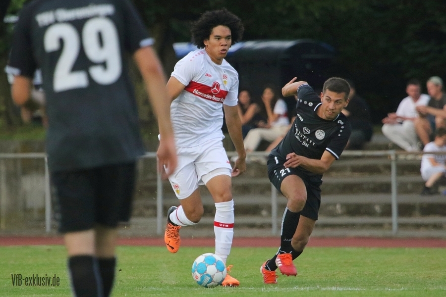 vfb13072221