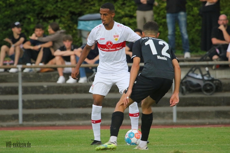 vfb13072225