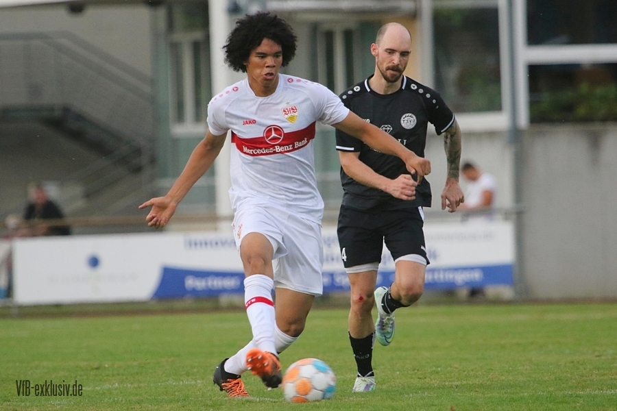 vfb13072227
