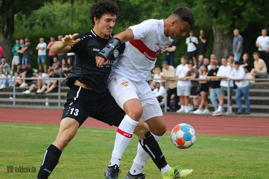 vfb13072230