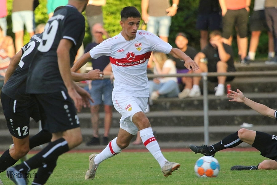vfb13072232