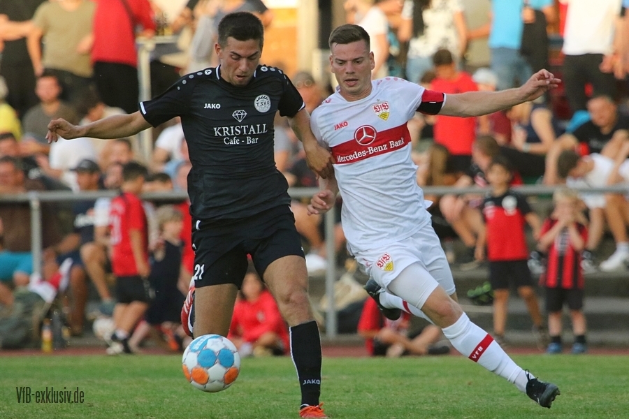 vfb13072233