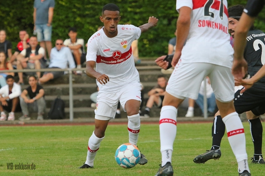 vfb13072235