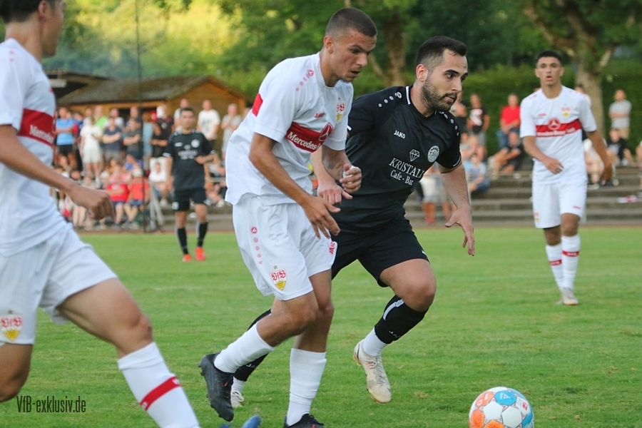 vfb13072237