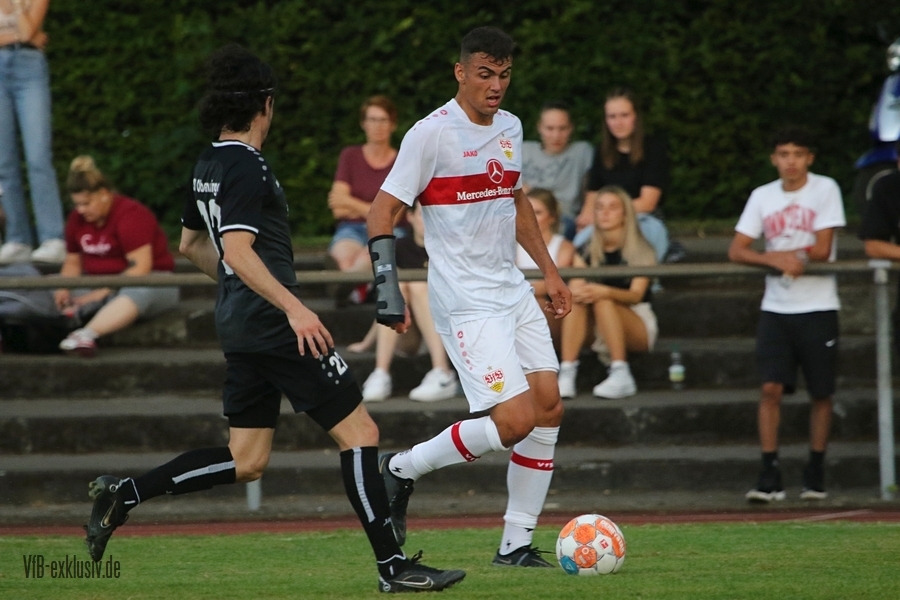 vfb13072238