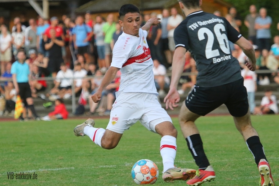 vfb13072239