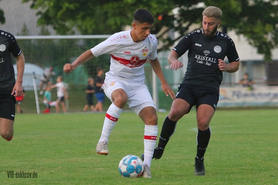 vfb13072241