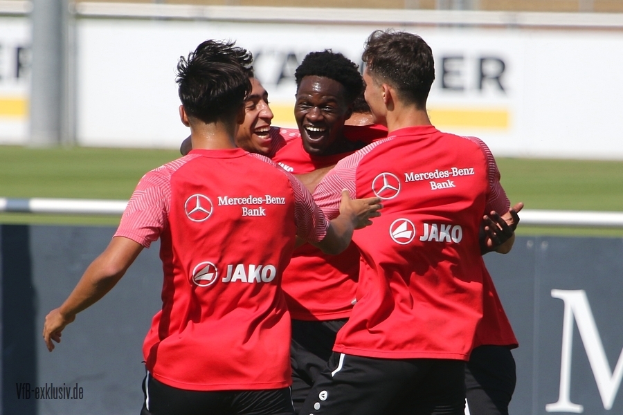 vfb16082211