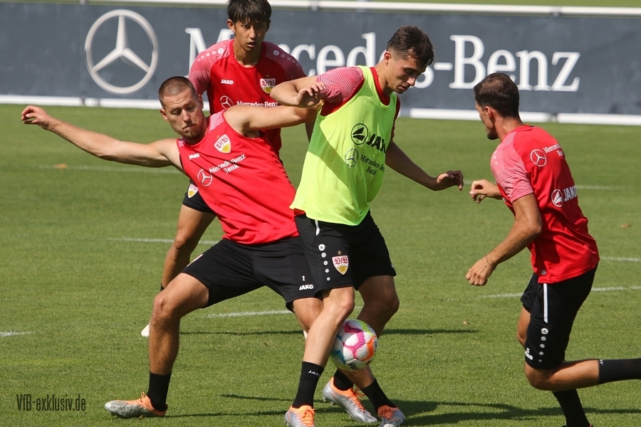 vfb16082212