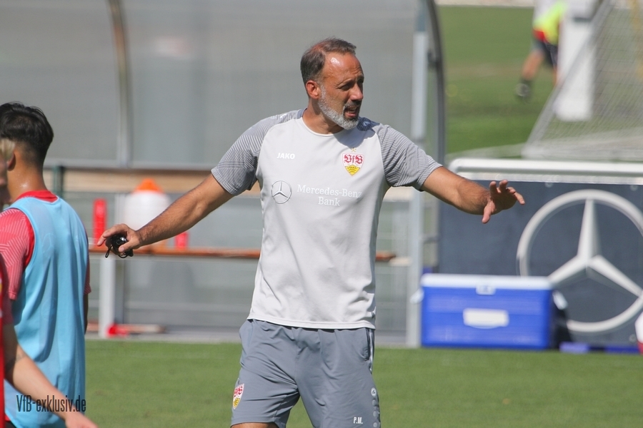 vfb16082217