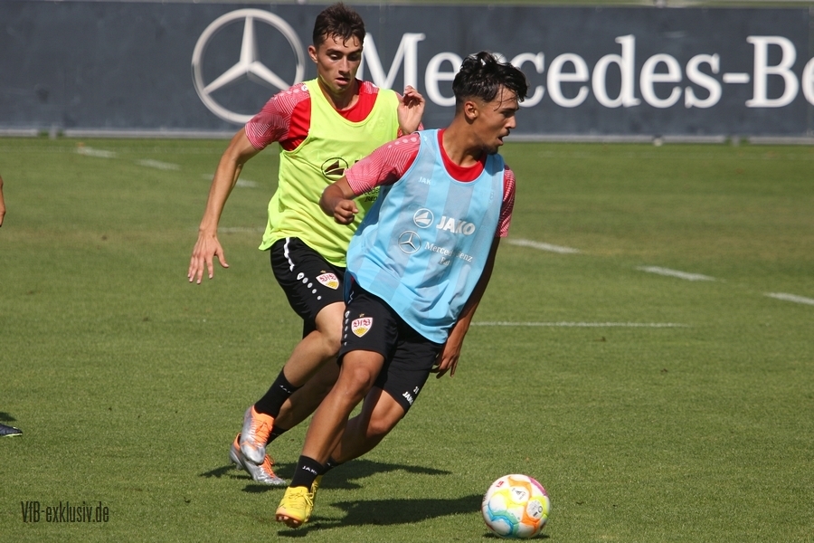 vfb16082219