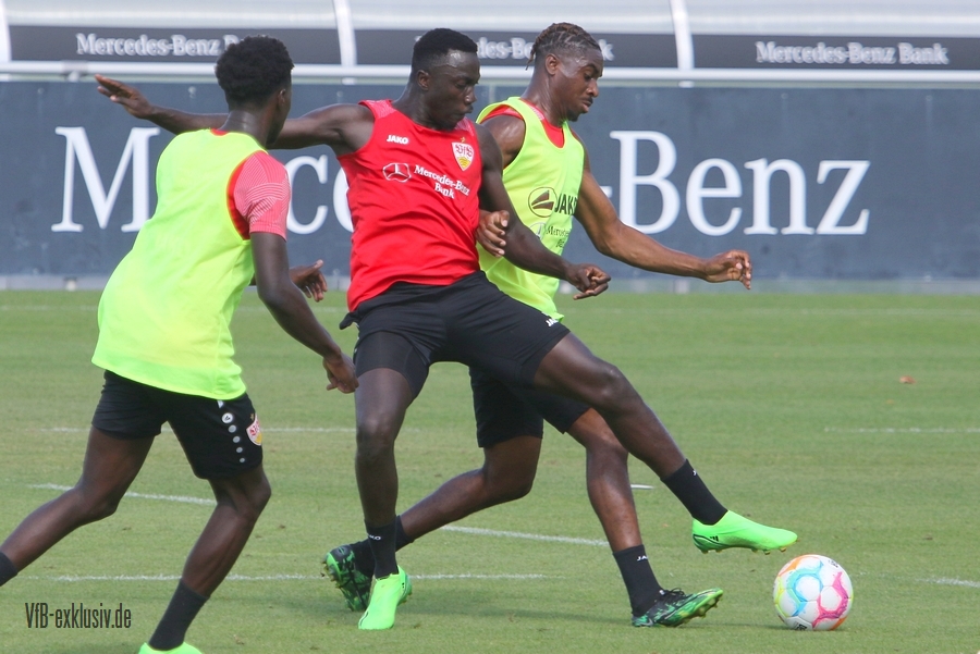 vfb16082232