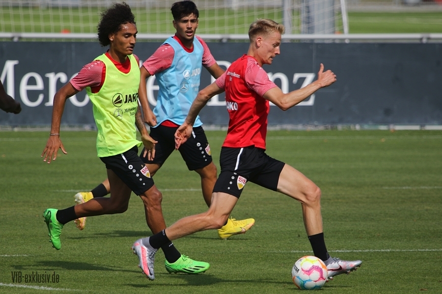 vfb16082233