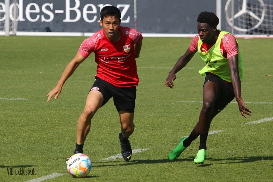 vfb16082234