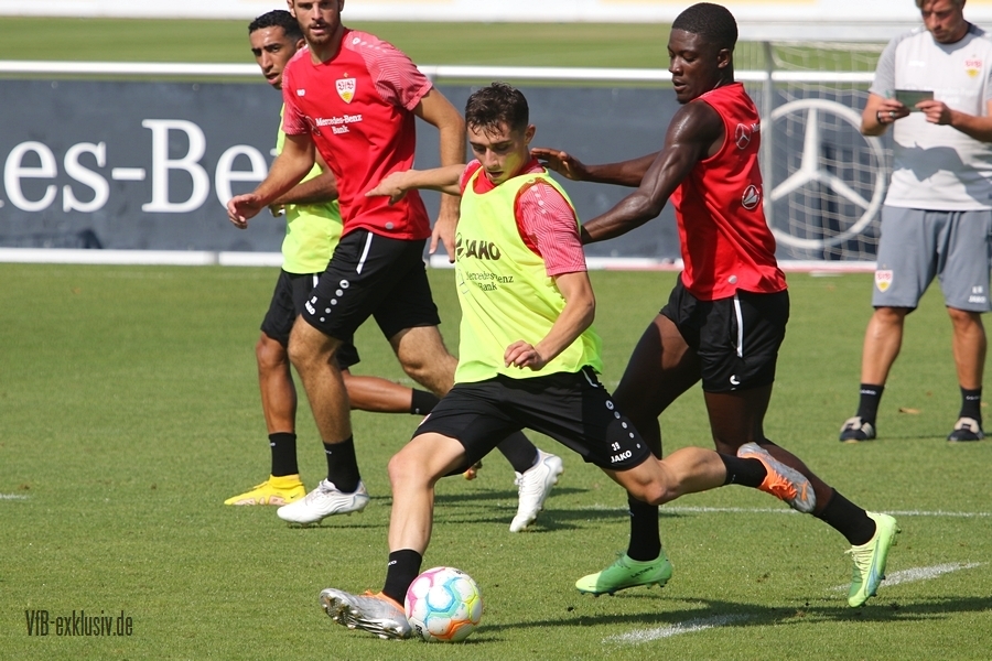 vfb16082236
