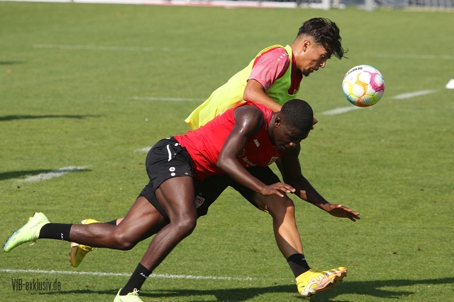 vfb16082237