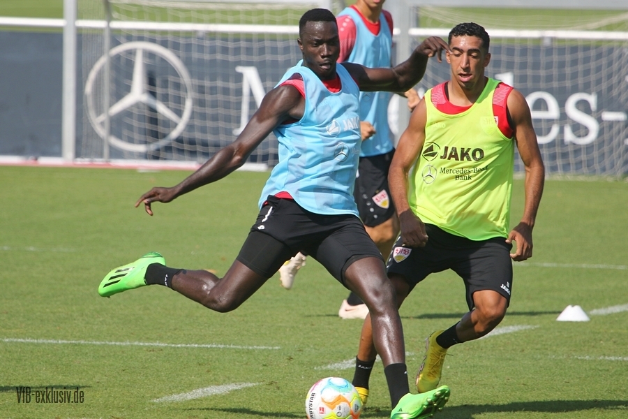 vfb16082241