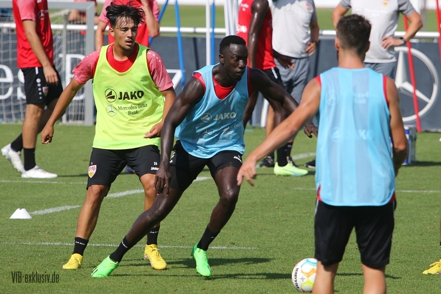 vfb16082246