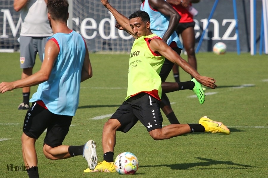 vfb16082249