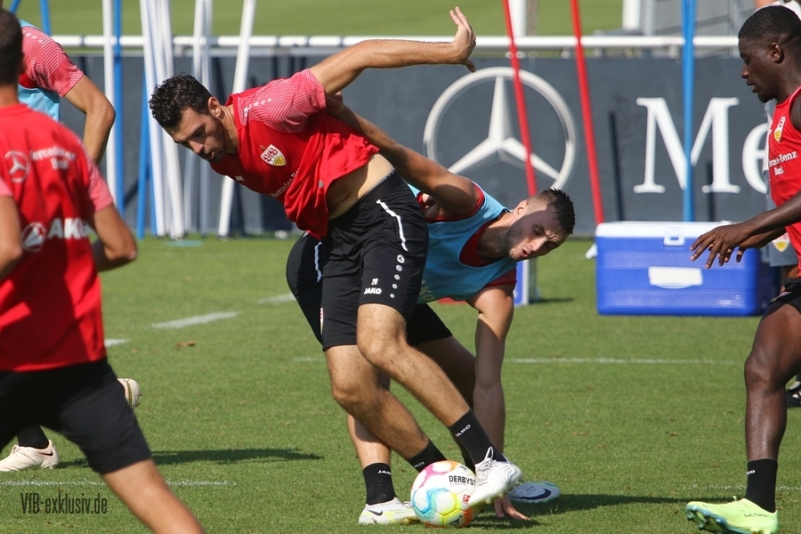 vfb16082254