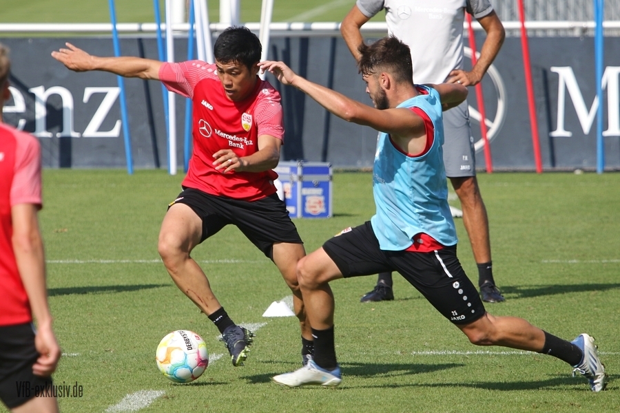 vfb16082262