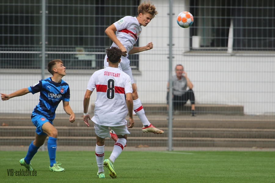 vfb20082201