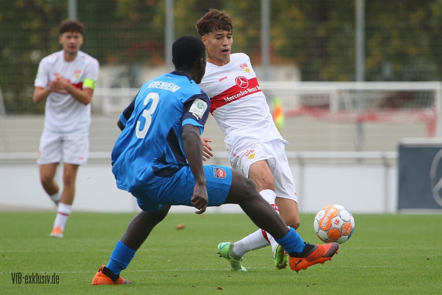 vfb20082203