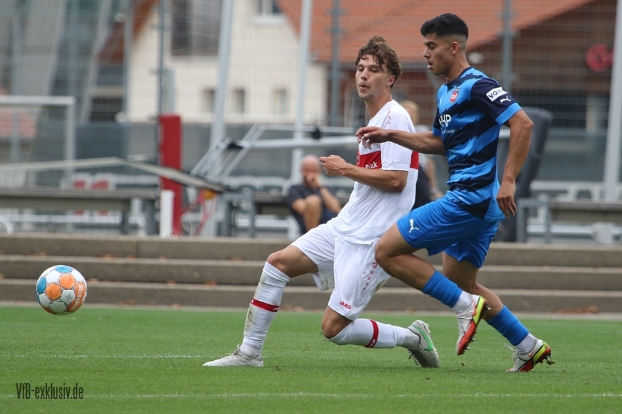 vfb20082205