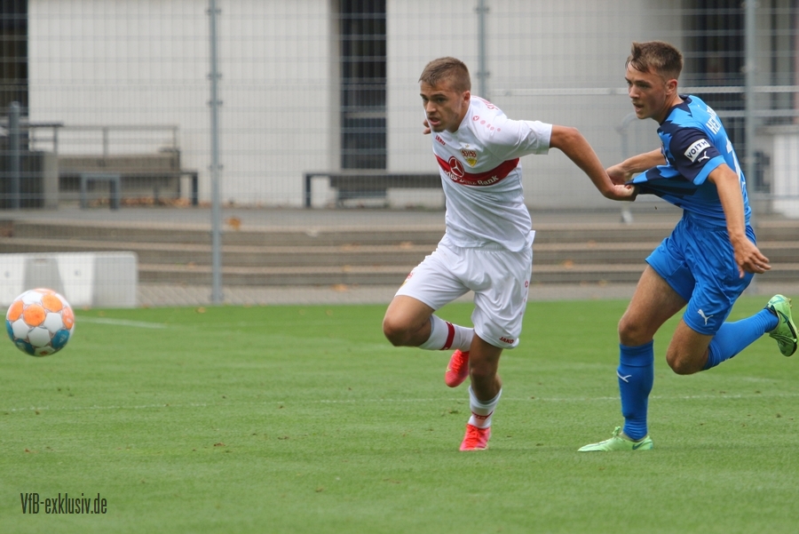 vfb20082206
