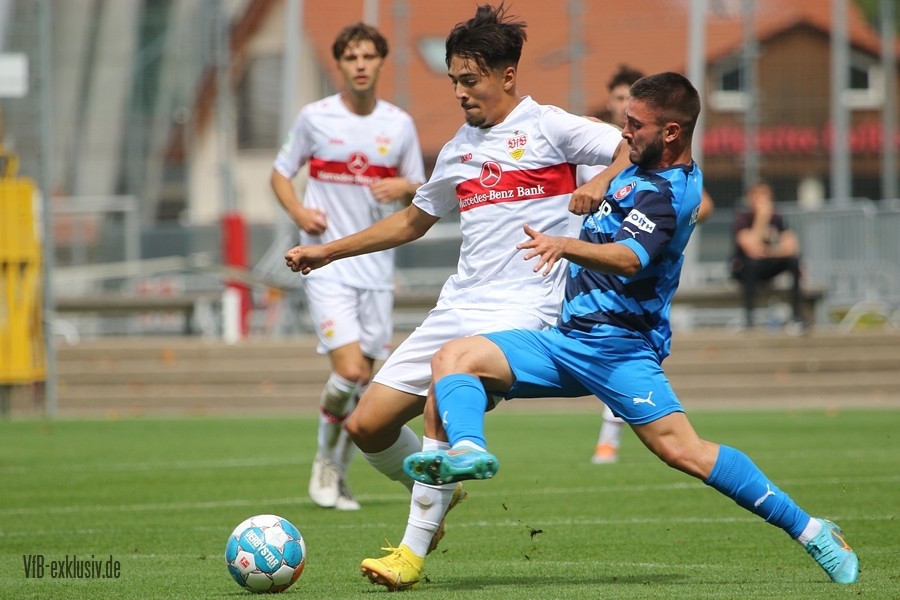 vfb20082208
