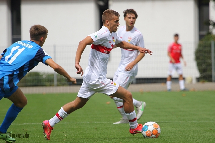 vfb20082209