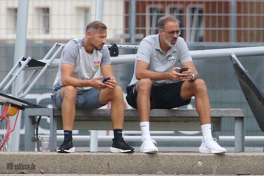 vfb20082211