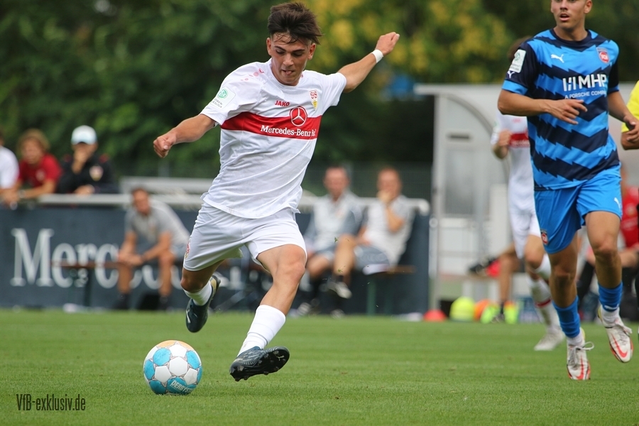 vfb20082212