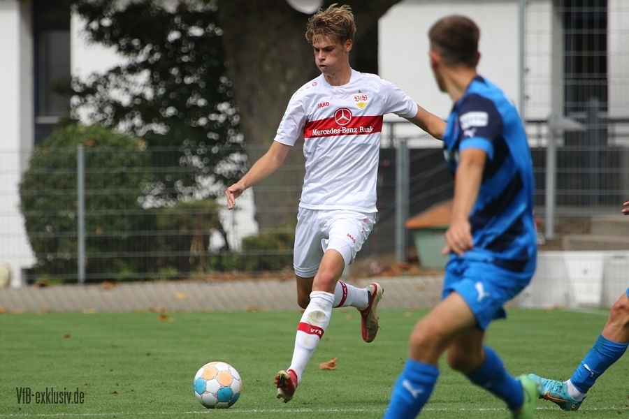 vfb20082213