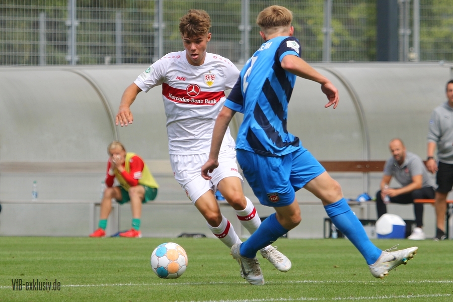 vfb20082214