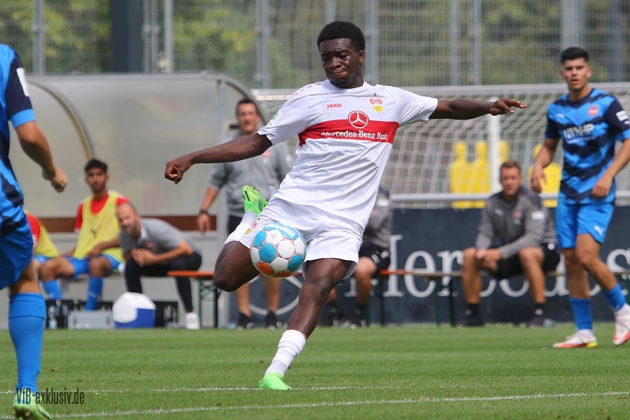 vfb20082217