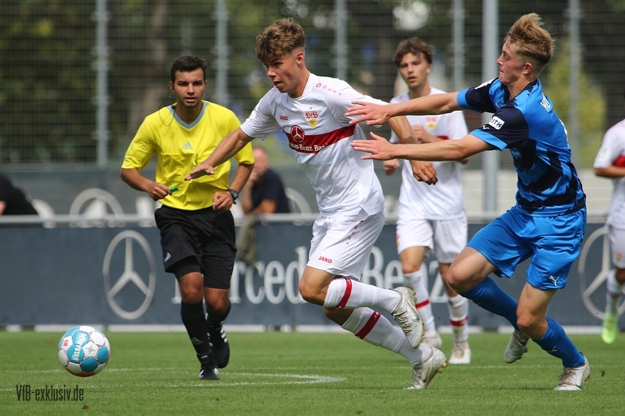 vfb20082218