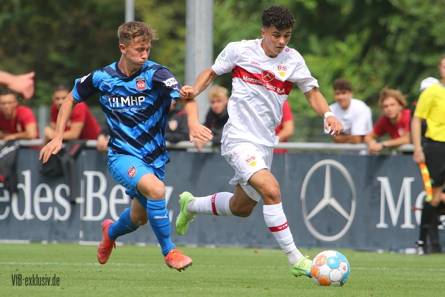 vfb20082219