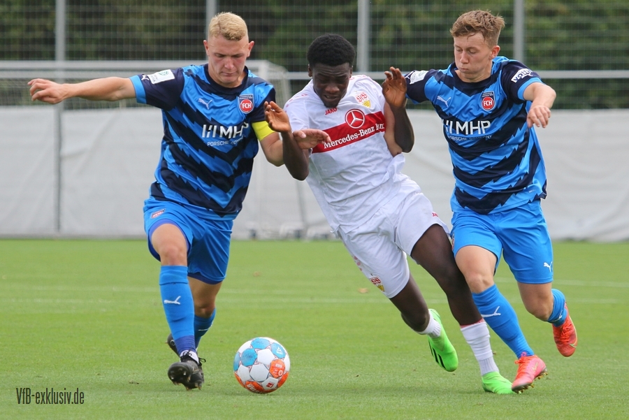 vfb20082220