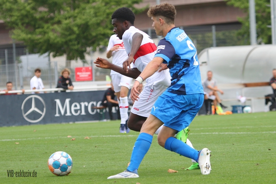 vfb20082222
