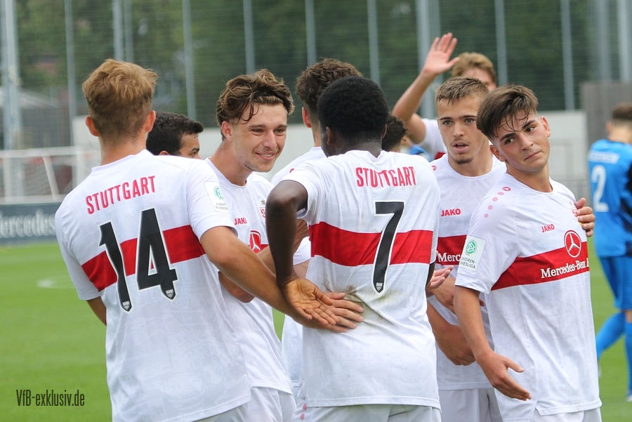 vfb20082225