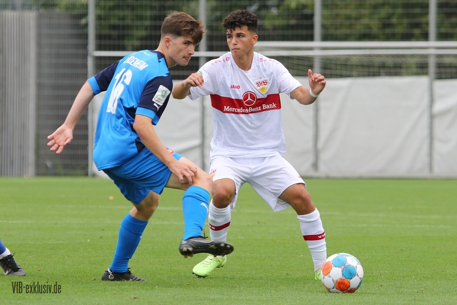 vfb20082226